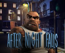 After Night Falls After Night Falls